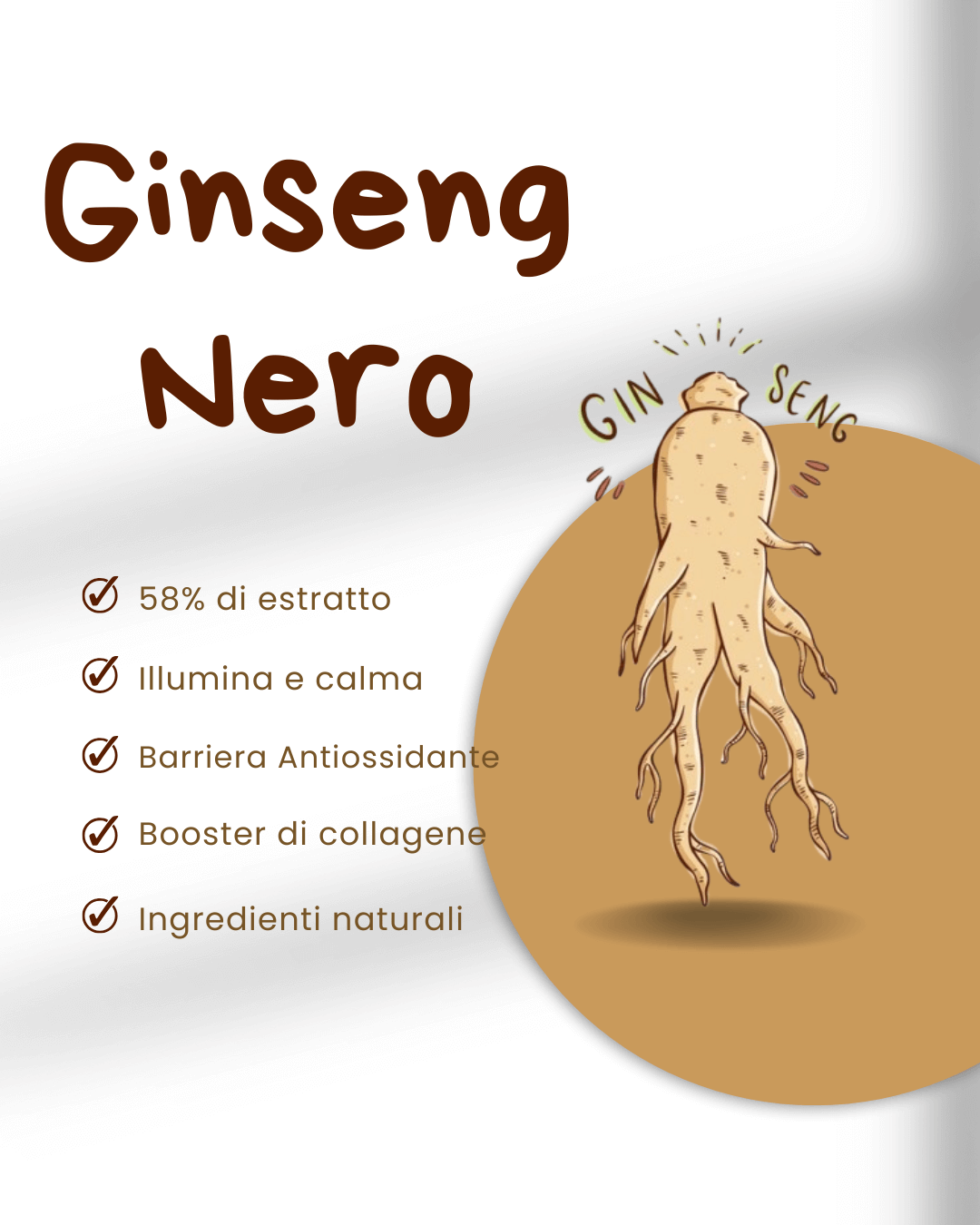 Seoul 1988 - Retinal Serum